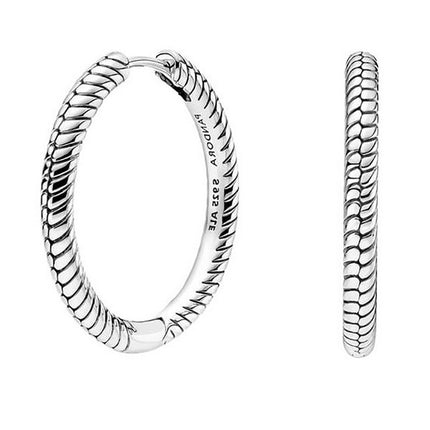 Pandora Moments Charm Hoop Earrings 299532C00 For Women